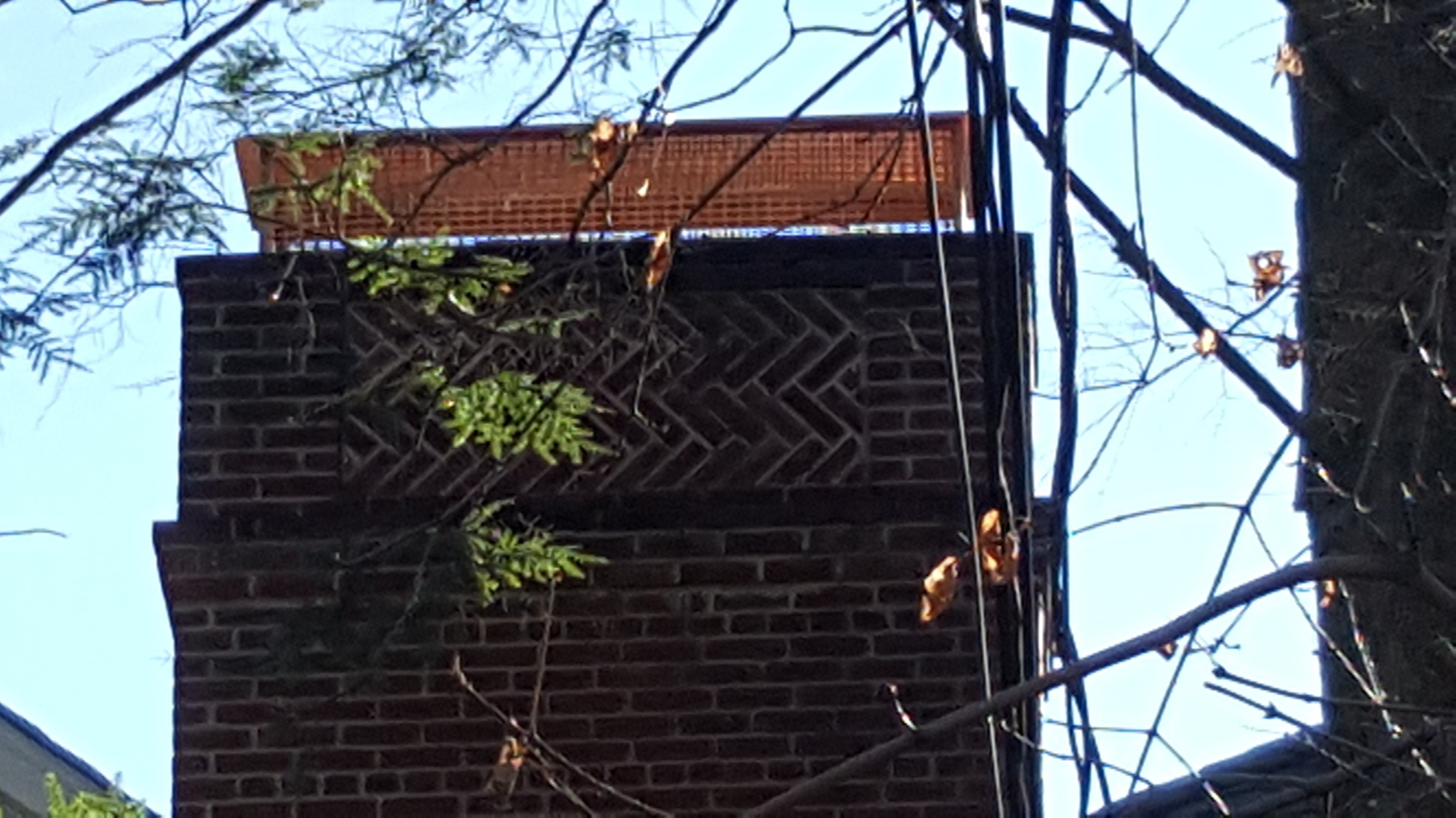 Animal-proof chimney cap protecting home in North Bellmore, New York